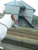pit 046
