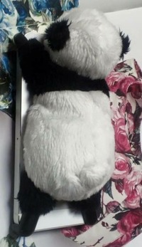 ¥¹¥Þ¥Û¥«¥Ð¡¼🐼