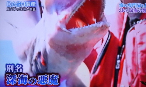ダウンロード