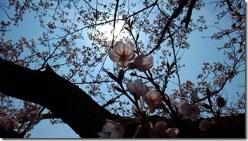-201204080840-
