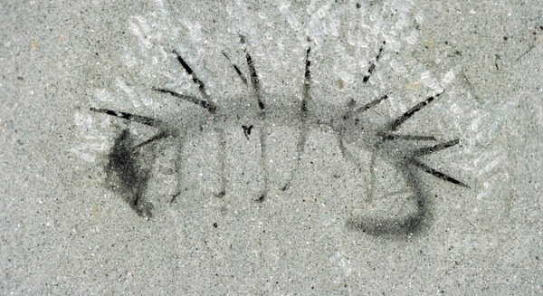 3052710_pno=0