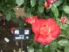 b47c381f.jpg
