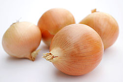 250px-Onions
