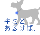 ���ߤȤ��뤱�С��Хʡ�