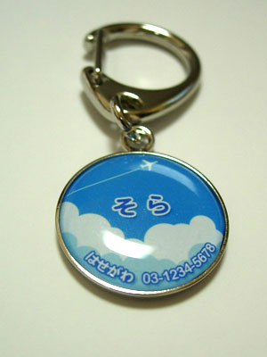 Summer Flight Tag