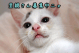 0f241cf3.gif