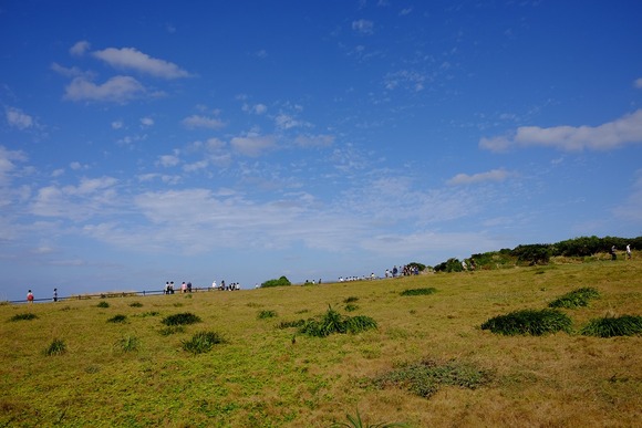 DSCF3013