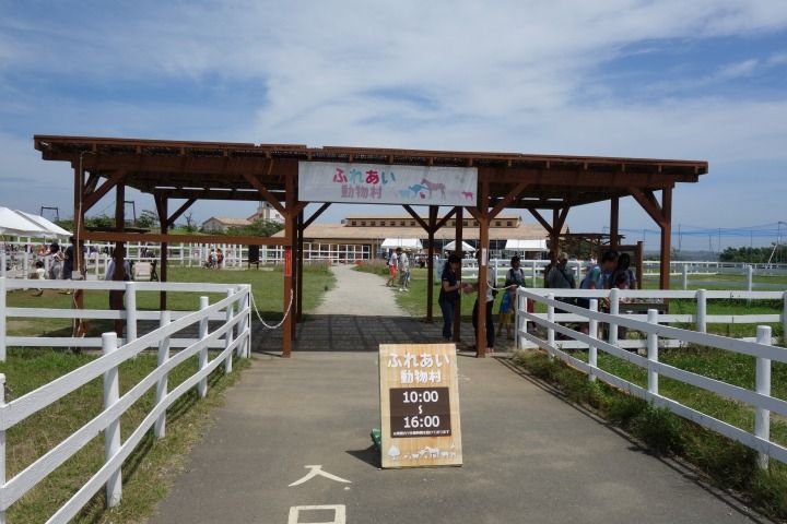 sDSC03475