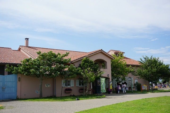 sDSC02188