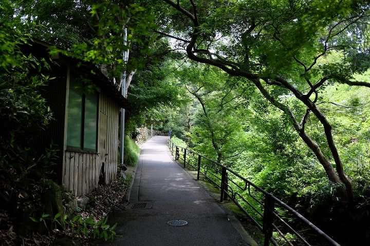 s-DSCF7028
