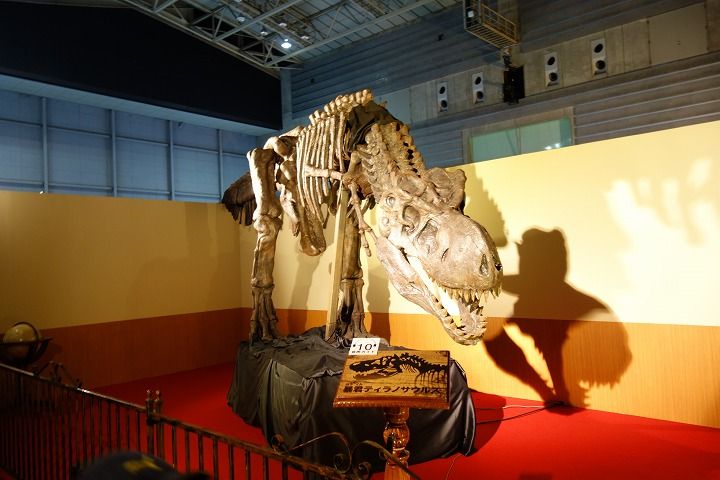 sDSC08637