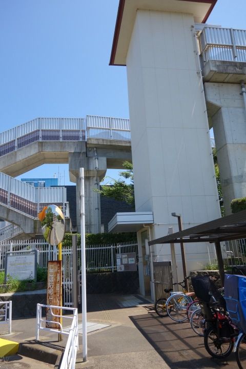 sDSC08351