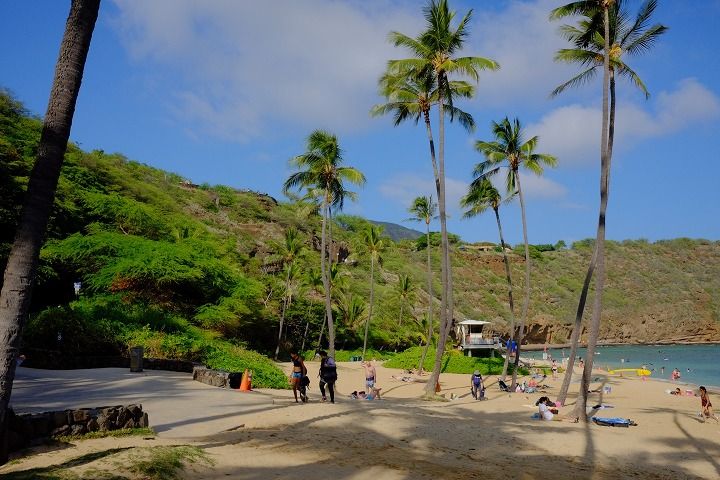 ssm201711Hawaii1234
