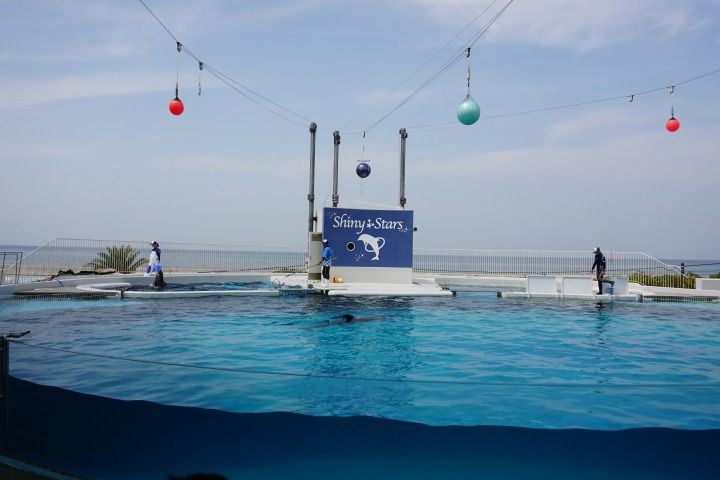 sDSC02325