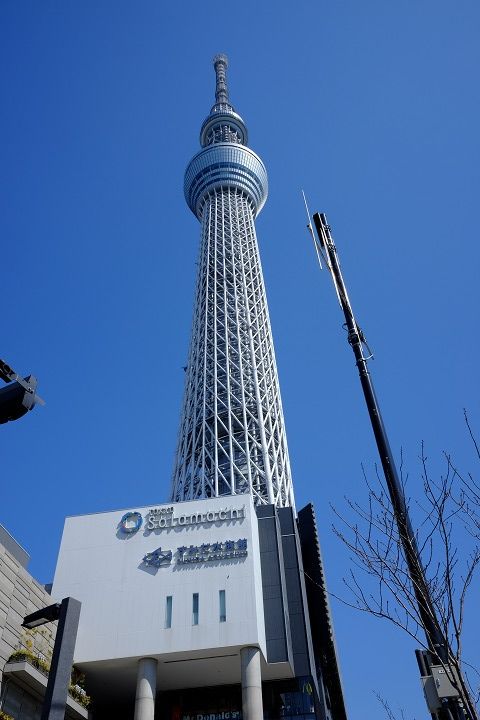 sDSCF3506