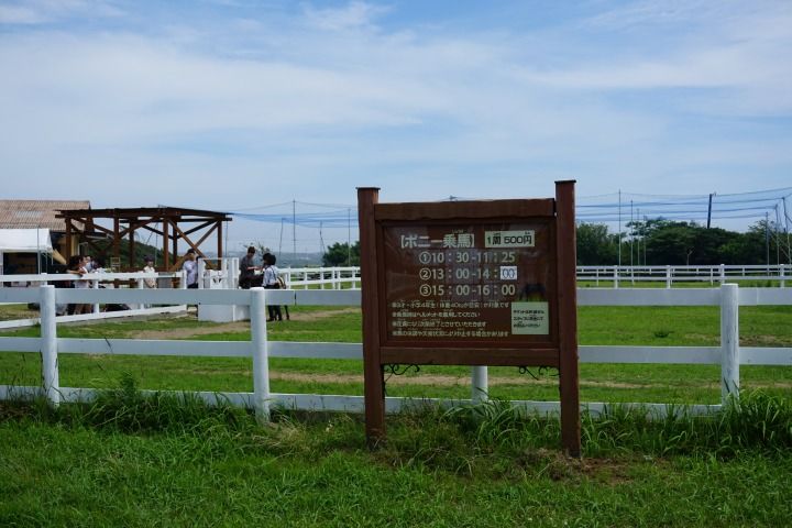 sDSC02141