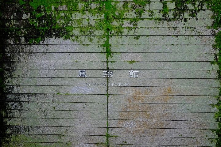 sDSCF8824