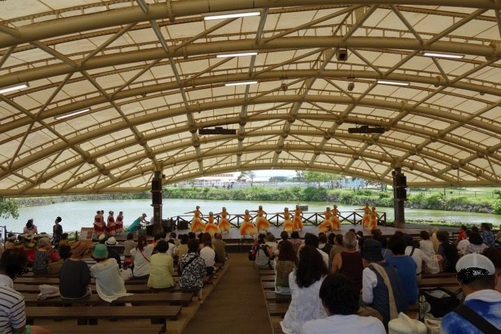sDSC03407