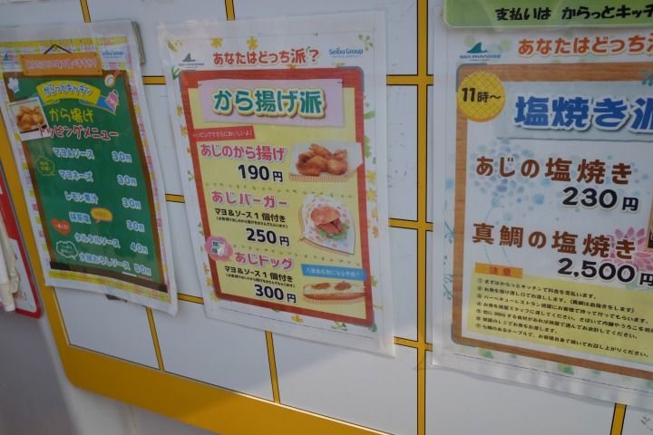 sDSCF5909