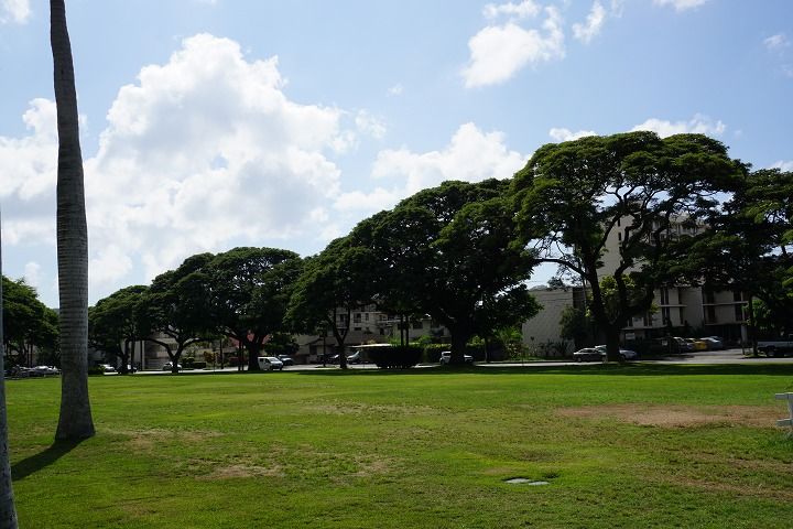 201711Hawaii0780