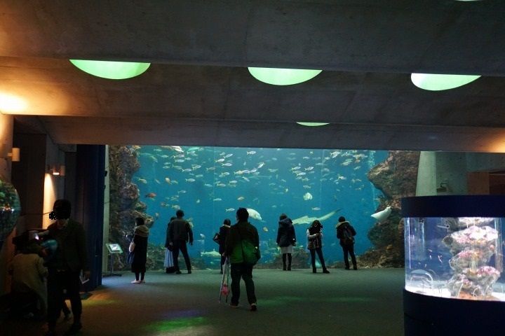 mDSC04719