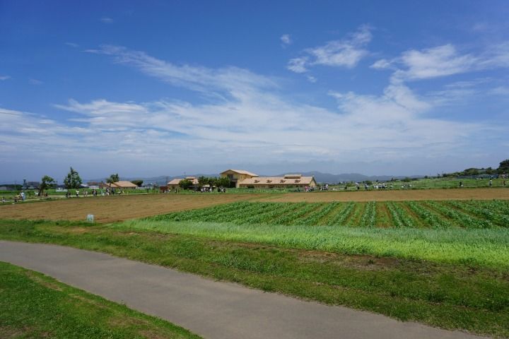 sDSC02089