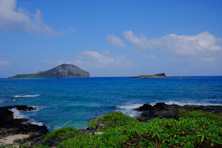 201711Hawaii1132