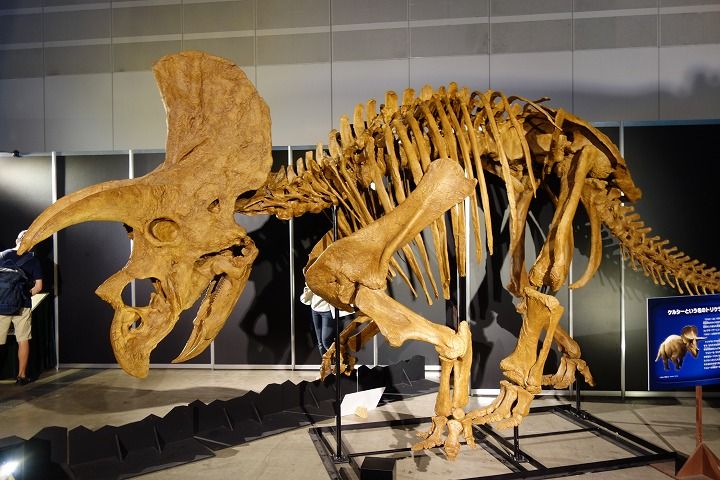 sDSC08632