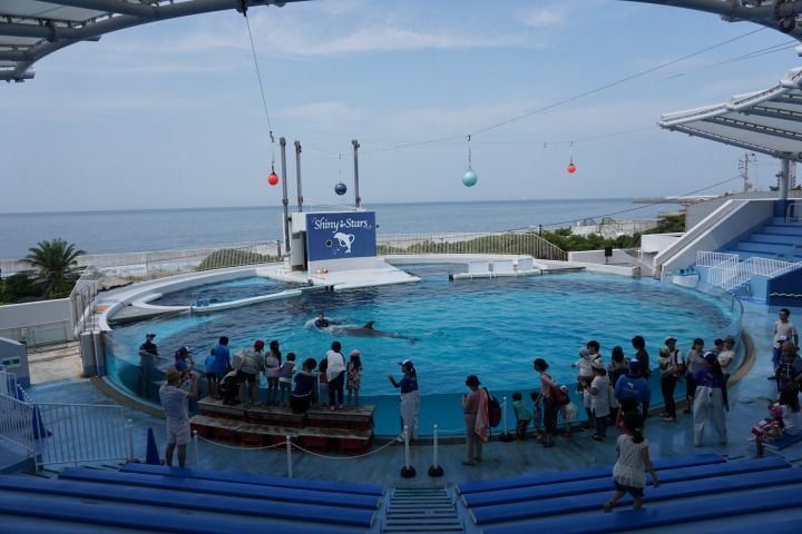 sDSC02367