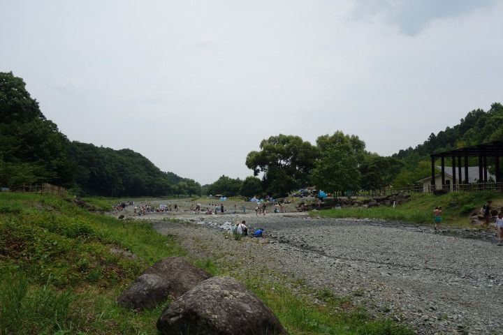 sDSC08381