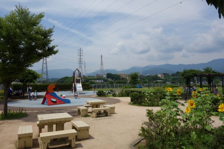 sDSC08358