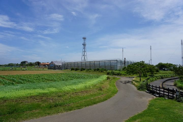 sDSC02090