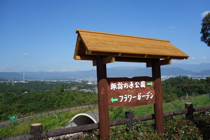 sDSC02463