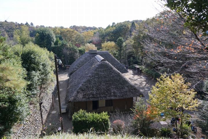 sDSC09730