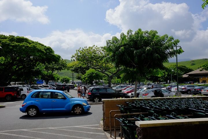 201711Hawaii0883