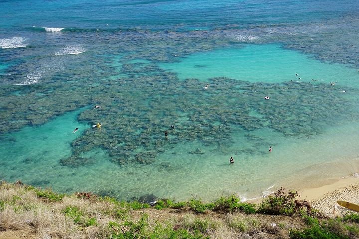 sm201711Hawaii1213