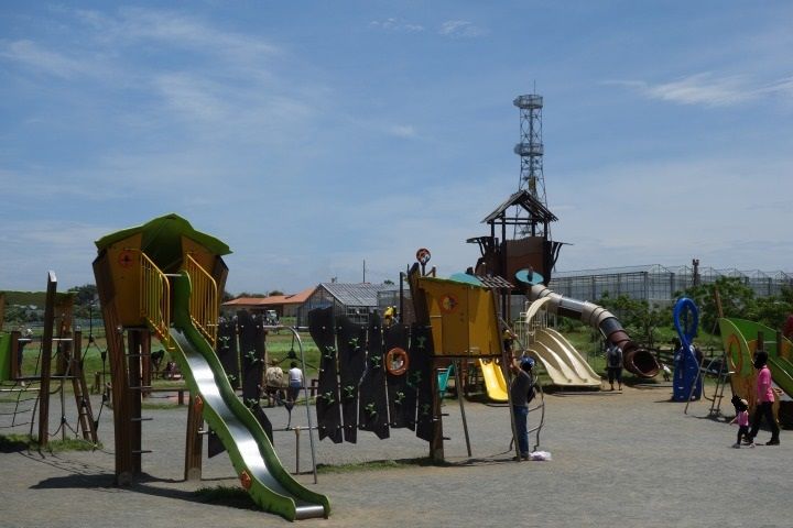 sDSC03342