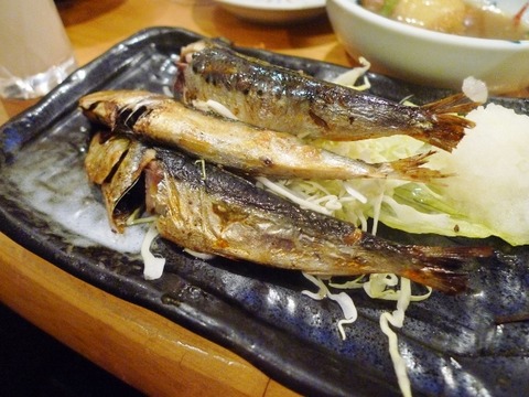 L1150678 (600x450)
