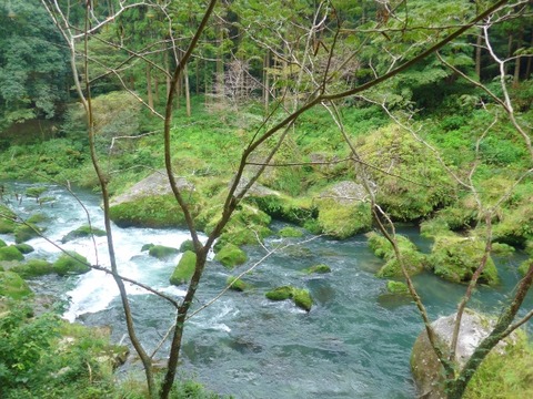 L1000756 (600x450)