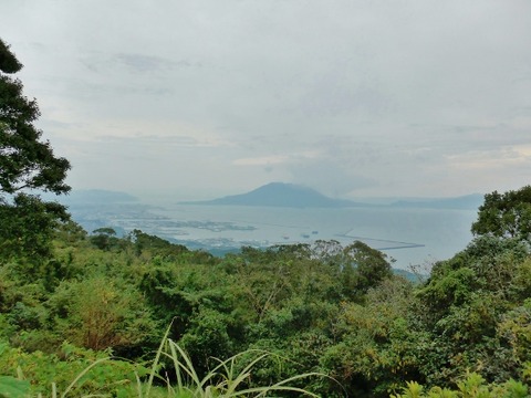 L1000759 (600x450)