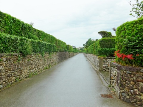 L1000761 (600x450)