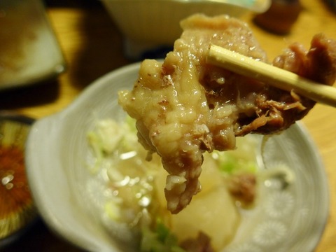L1010233 (600x450)