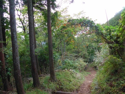 L1010817 (600x450)