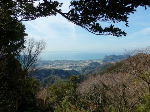 L1040313 (600x450)