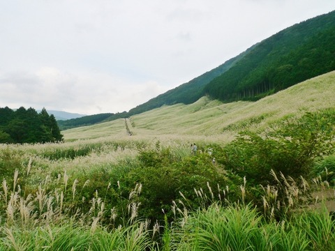 L1200283 (600x450)