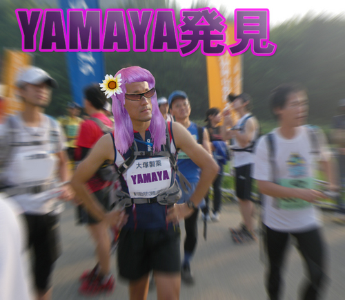 �ͥ��Ǥ������ww ���ޤ�����̣���������顢�᡹�����뤫��