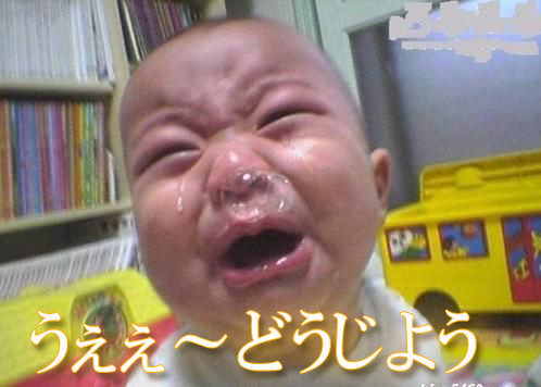�ɤ����褦������