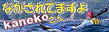�ʤ�����Ƥޤ��衢kaneko����