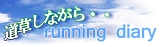 ƻ�𤷤ʤ���� running diary��