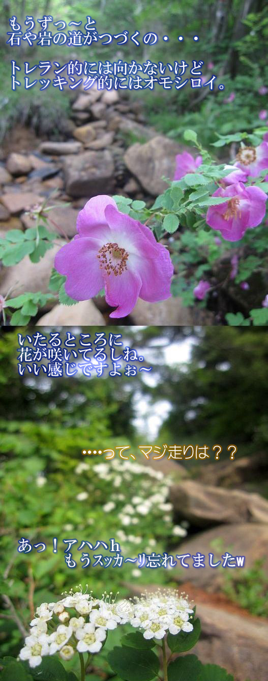 ���л��Ϥ���äȥȥ쥤��
